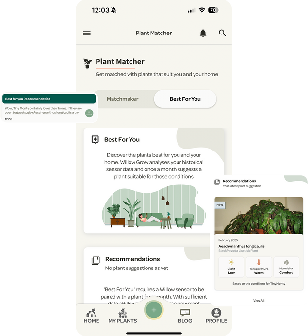 Best For You Willow App feature recommmends plants for you based on your Sensor data