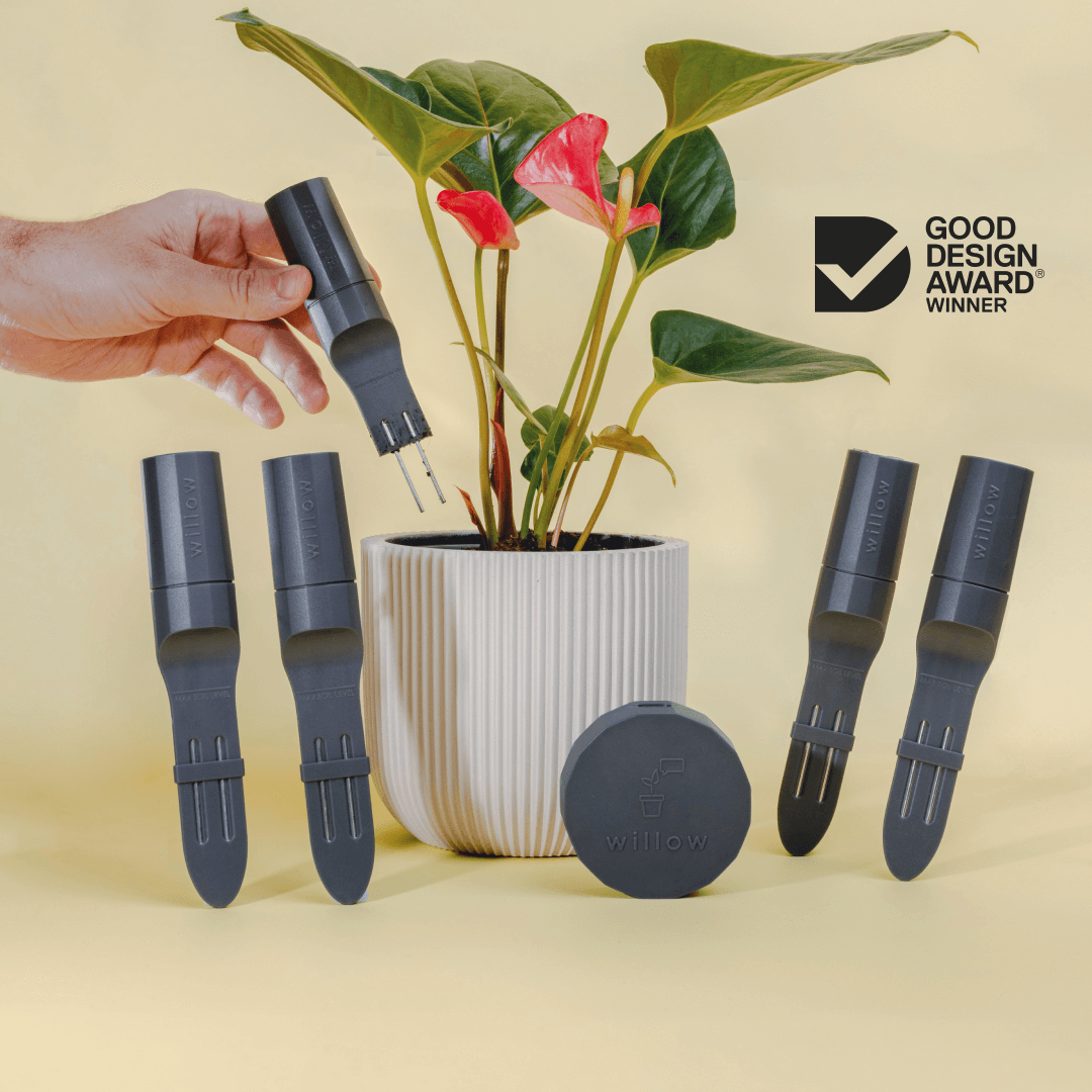 Charcoal Coloured Urban Jungle Pack