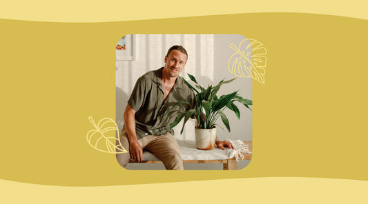 How the autumn season affects your houseplants