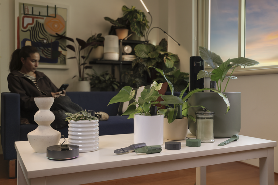 Willow x Homey: Cuidado de plantas automatizado