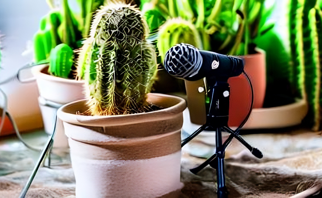 Unveiling the Secret Chatter of Houseplants: Can Your Leafy Friends Speak?