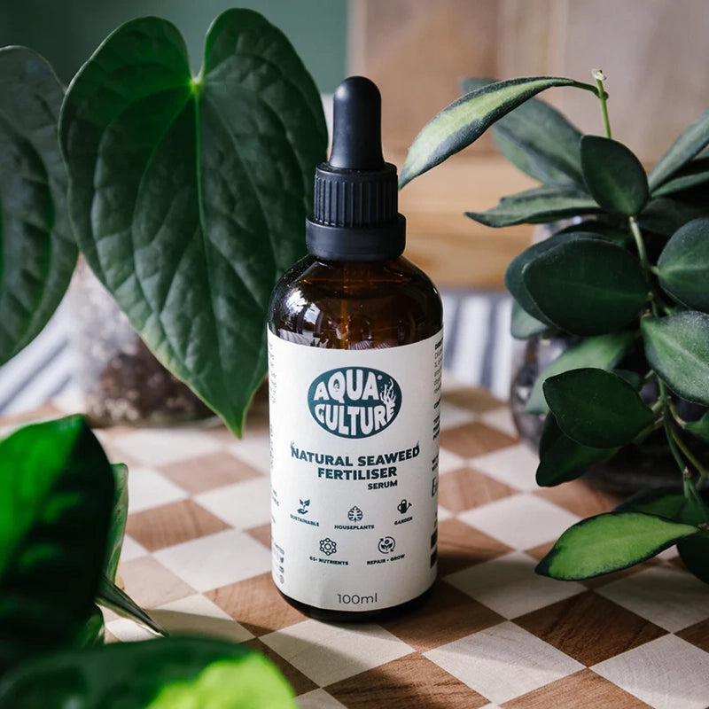 Meeresalgen-Pflanzenserum