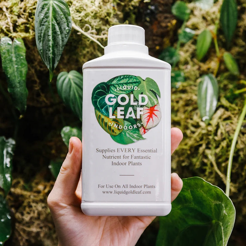 Liquid Gold Leaf Plant Food
