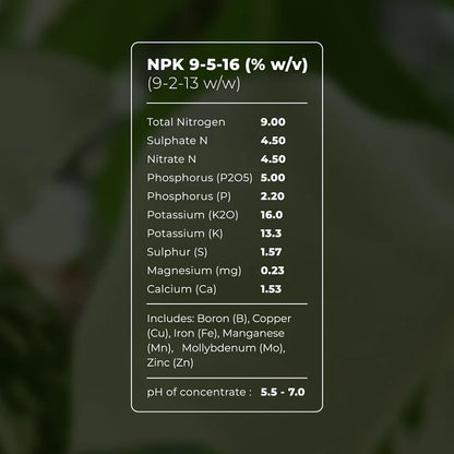 Liquid Gold Leaf Plant Food