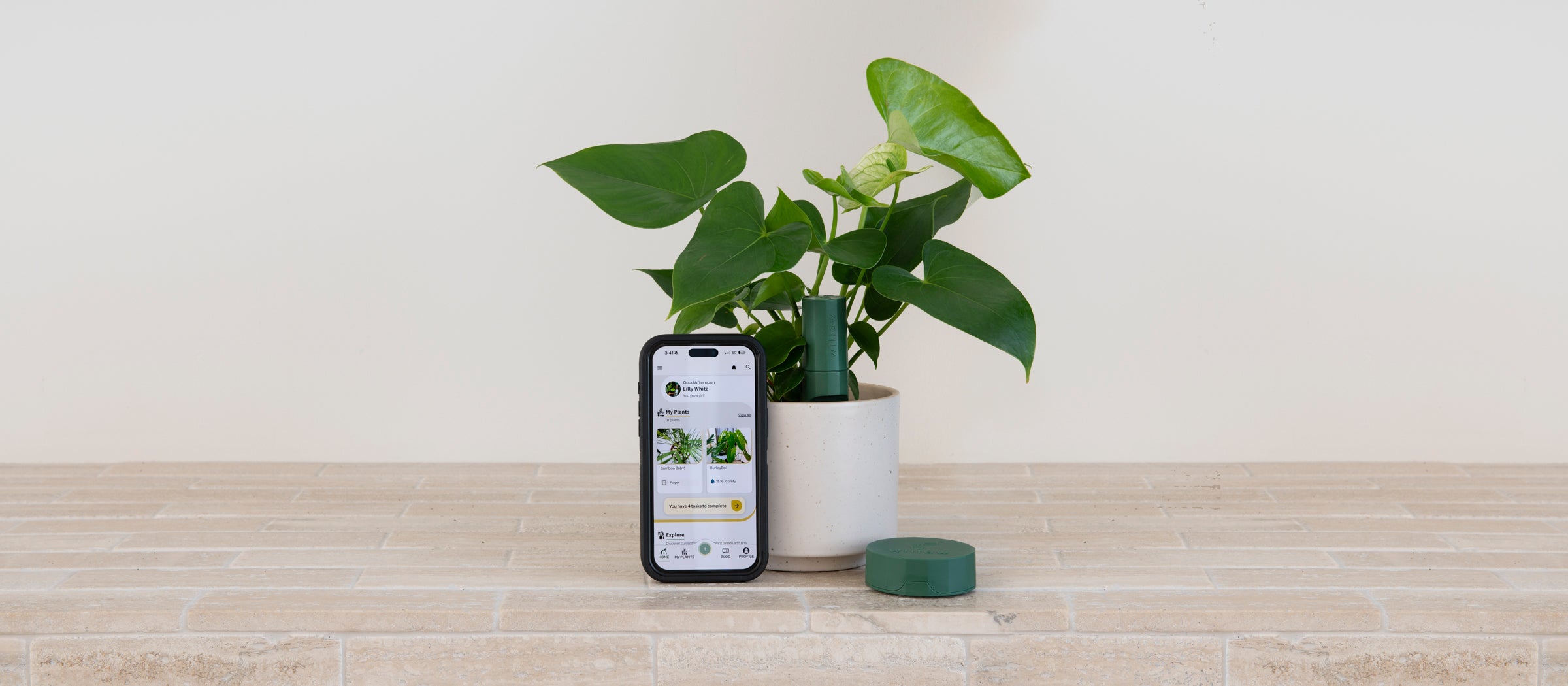 Willow app with sensor and hub in plant