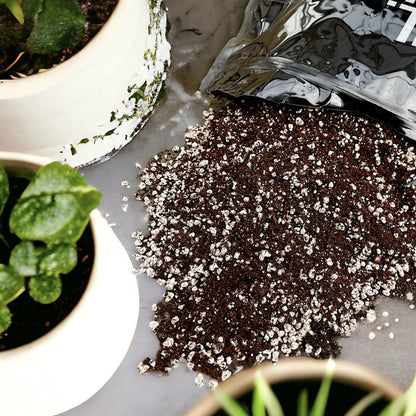 Indoor Potting Mix