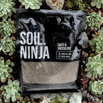 Cacti & Succulent Mix