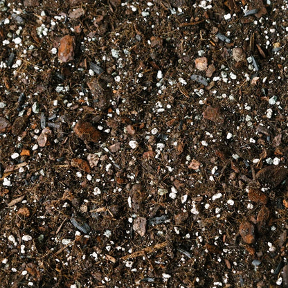 Coarse & Potting Mix