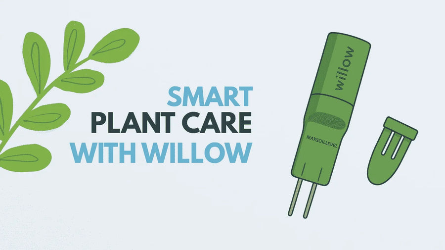 Willow Plant Sensor Review: Smart Plant Care Made Easy