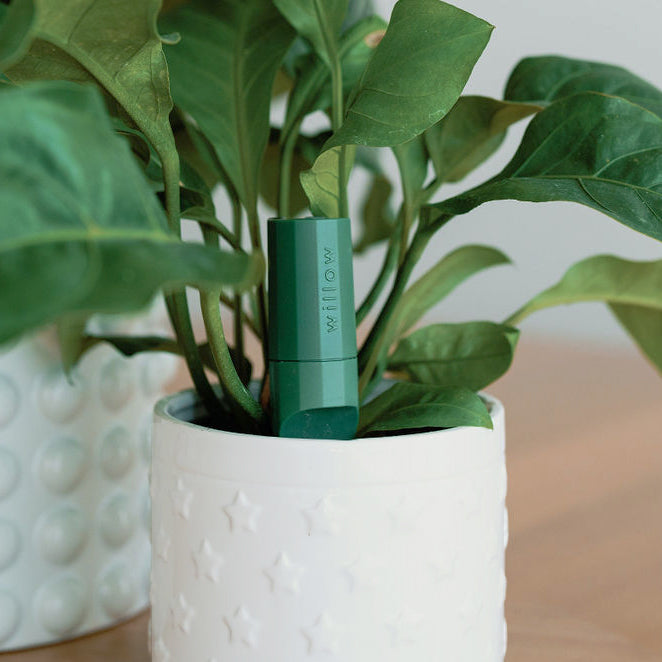 willow sensor