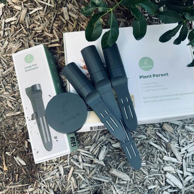 Willow products