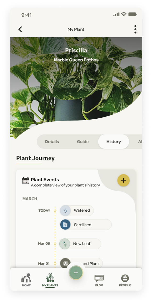 Willow app screenshot