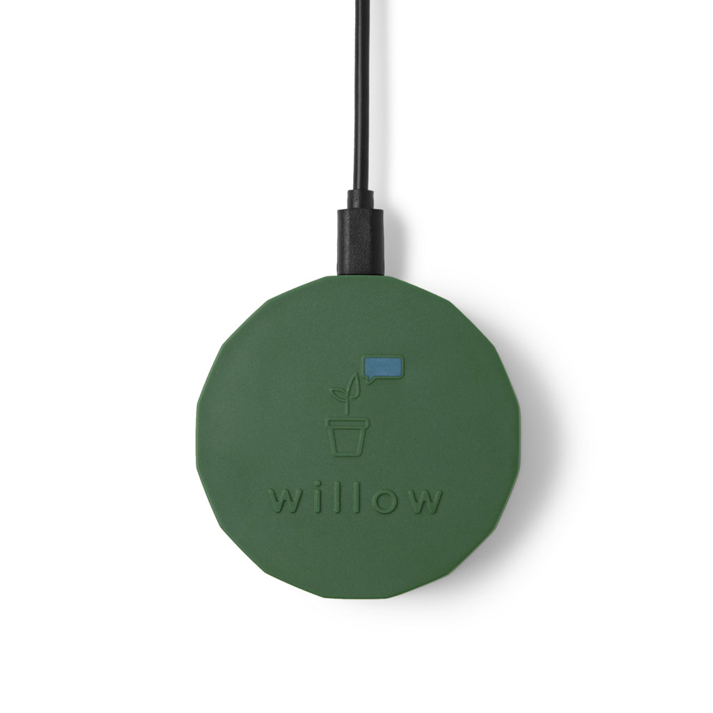Willow Kit