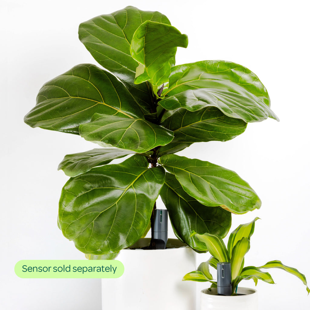 Large Pot Extension