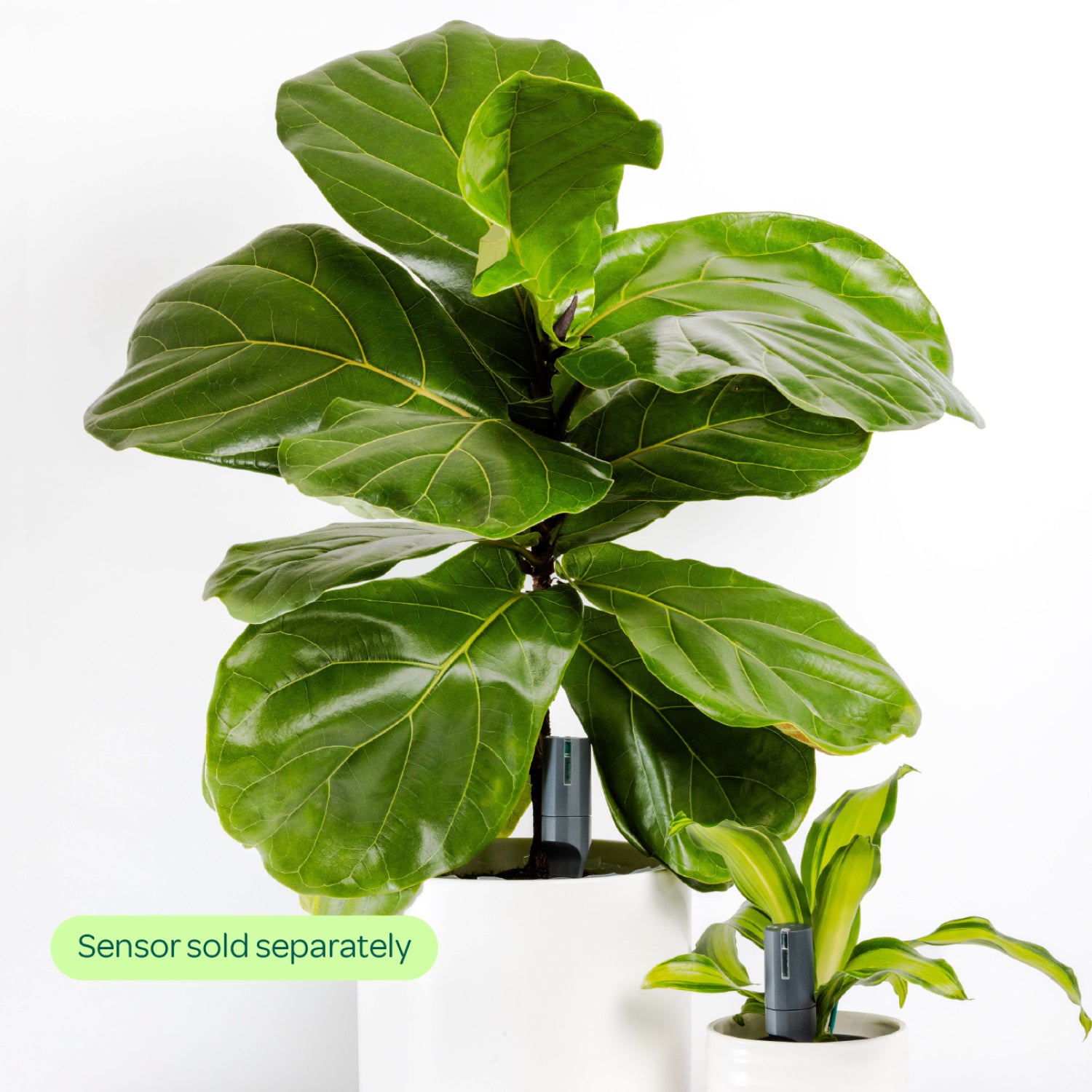 Large Pot Extension